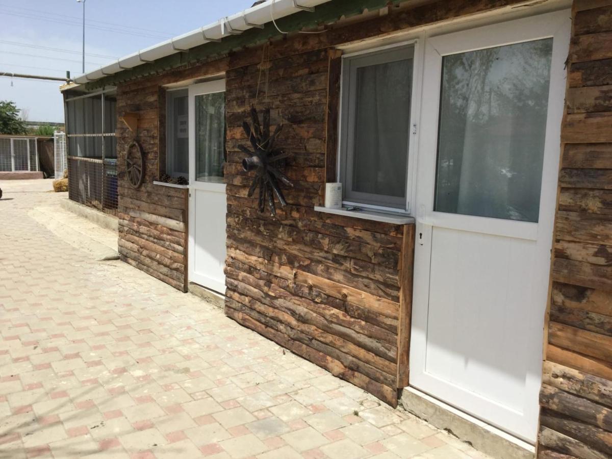 Safir Sunny Beach Hotel Sultankoy Kültér fotó